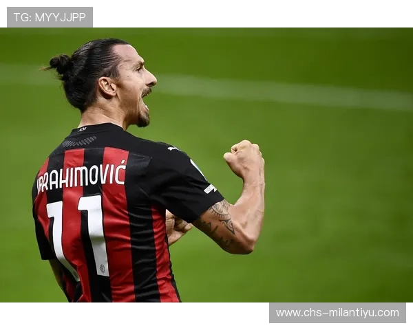 ac米兰注册平台有哪些不同类型的注册方式及其优缺点分析