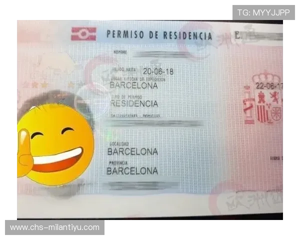 米兰官方网站帮助用户快速获取签证、居留等相关政策信息